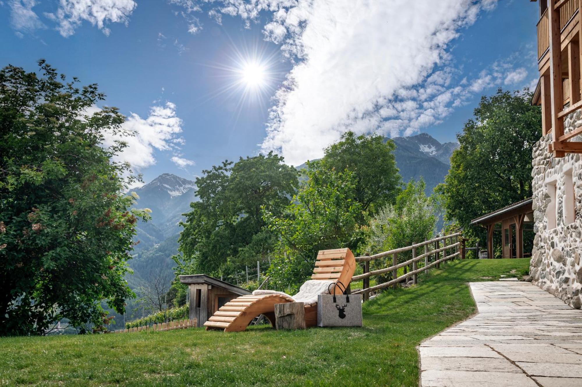 Trinnerhof- Hof Chalets Und Obsthof Mit Zimmer Natz-Schabs Exteriör bild