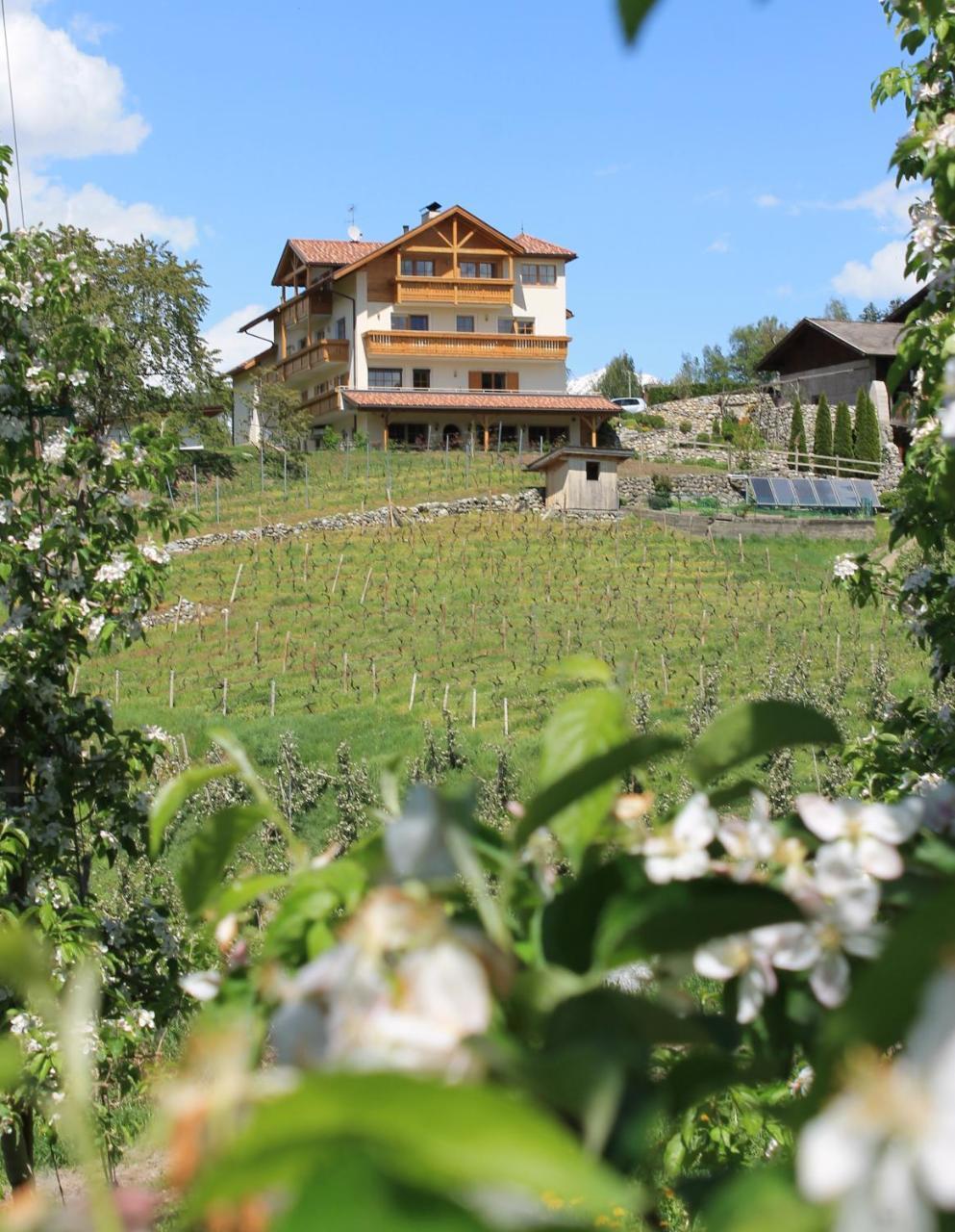Trinnerhof- Hof Chalets Und Obsthof Mit Zimmer Natz-Schabs Exteriör bild