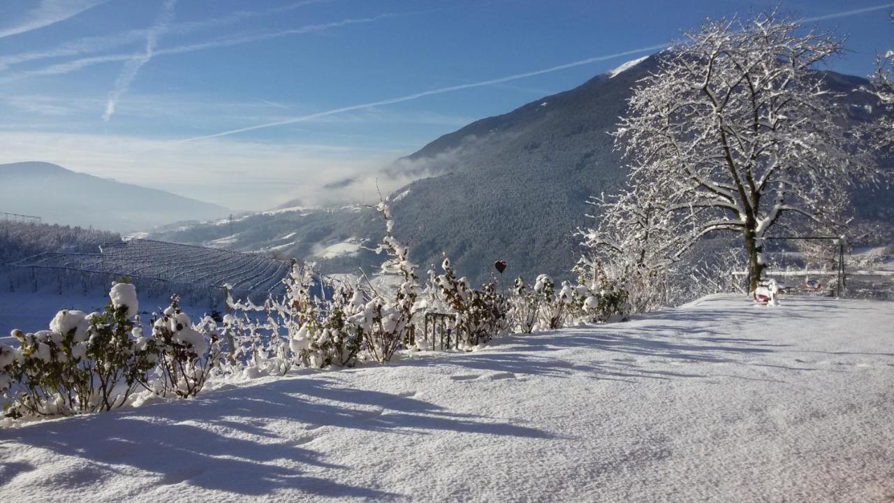 Trinnerhof- Hof Chalets Und Obsthof Natz-Schabs Exteriör bild
